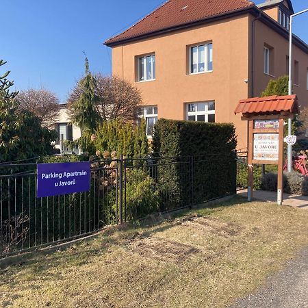 Apartman U Javoru Varnsdorf Buitenkant foto