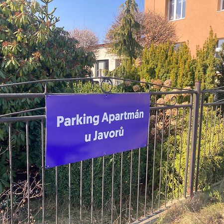 Apartman U Javoru Varnsdorf Buitenkant foto