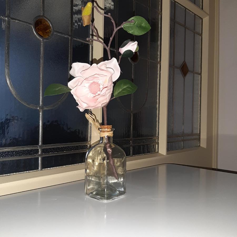 Apartman U Javoru Varnsdorf Buitenkant foto