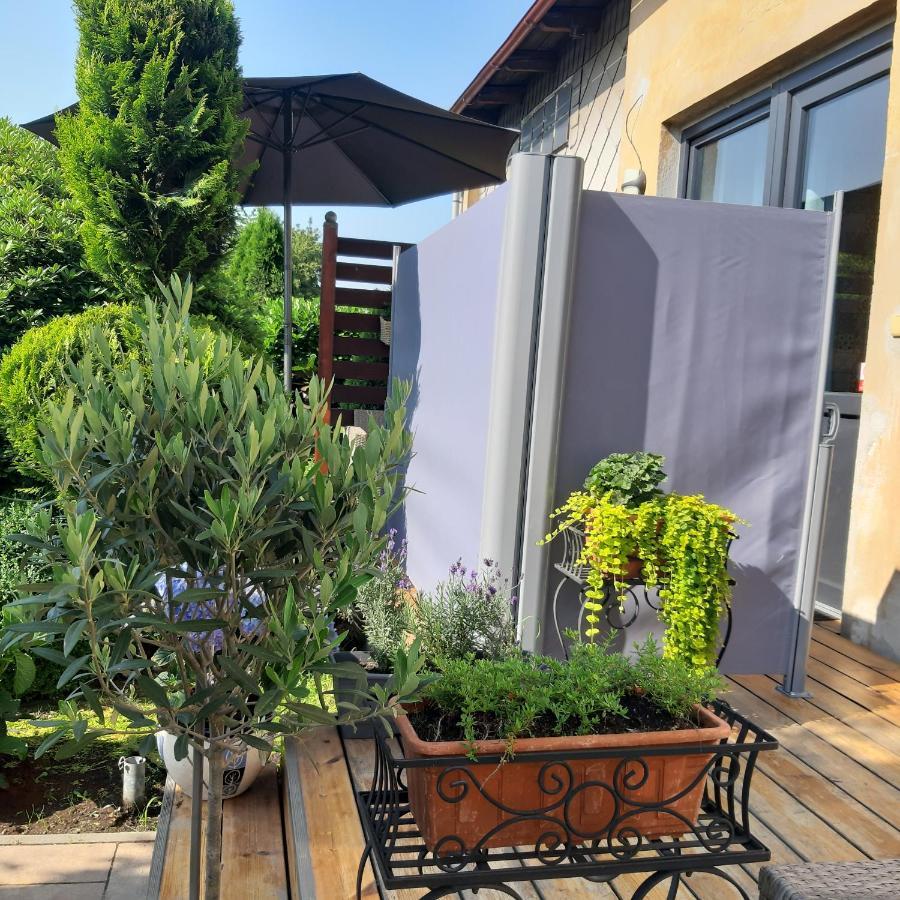 Apartman U Javoru Varnsdorf Buitenkant foto