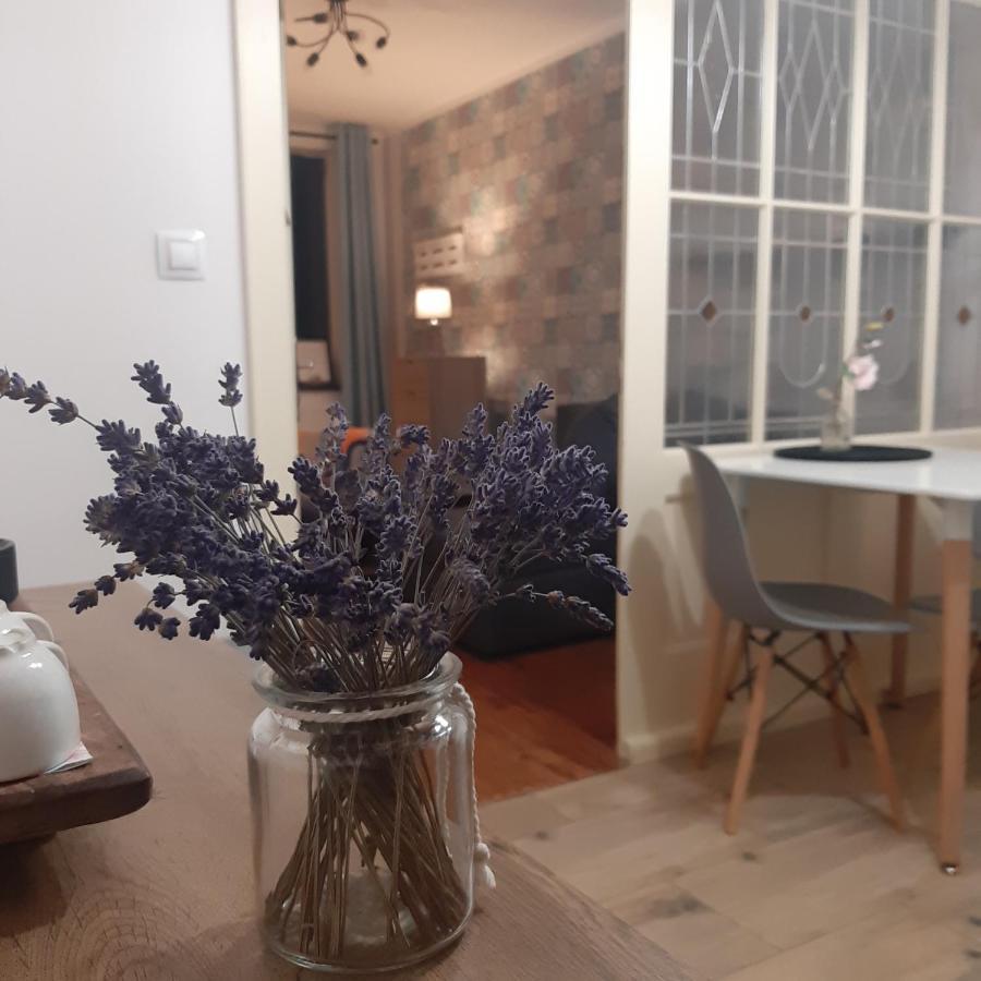Apartman U Javoru Varnsdorf Buitenkant foto